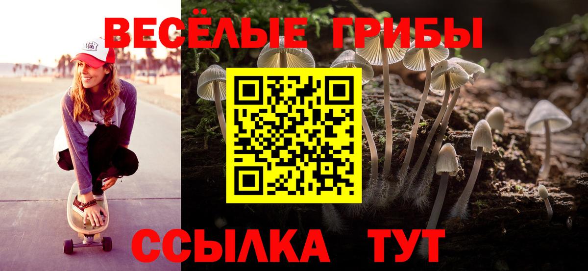 Галлюциногенные грибы MAGIC MUSHROOMS Кохма
