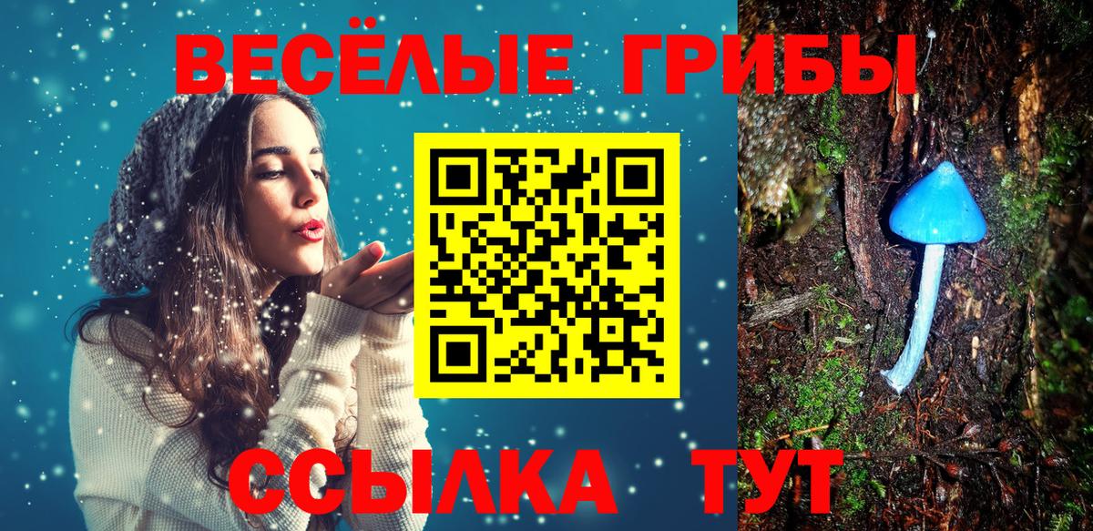 Кохма  Псилоцибиновые грибы мухоморы  Вход с VPN 